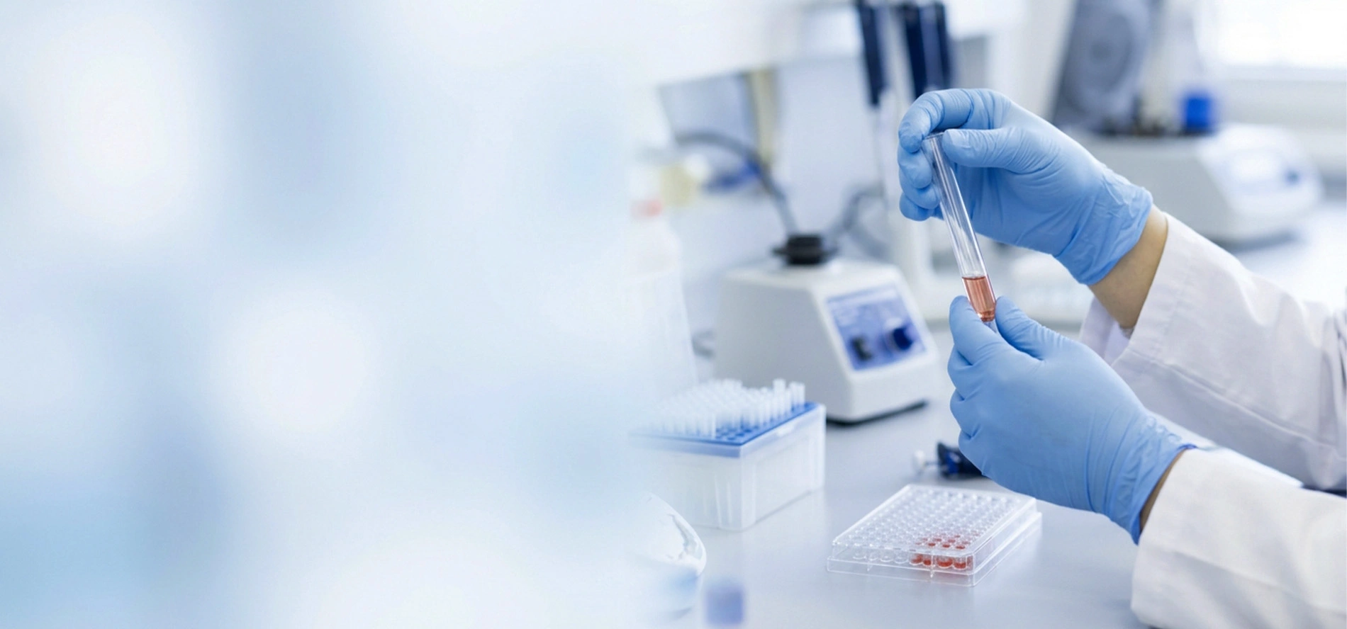 Gloved hands holding a laboratory test tube